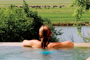 Chobe Game Lodge: Suite - Pool mit Blick