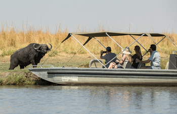 Chobe Savanna Lodge: Fluss-Safari