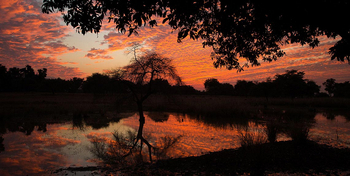 Denwa Backwater Escape: Abendrot