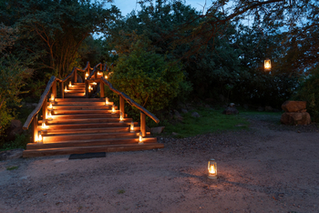 Elewana Serengeti Pioneer Camp: Treppe zum Hauptzelt