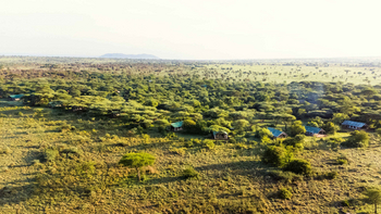 Ikoma Tented Camp: Camp im Morgenlicht von oben