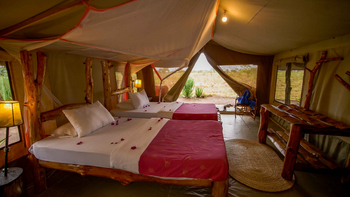 Ikoma Tented Camp: Bett mit Handtüchern und Blütenblättern