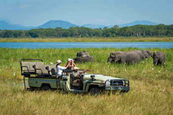 Kuthengo Camp: Game Drive