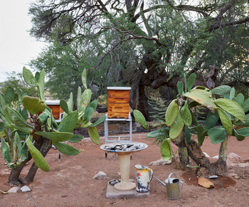 Nooishof: Haus und Hof