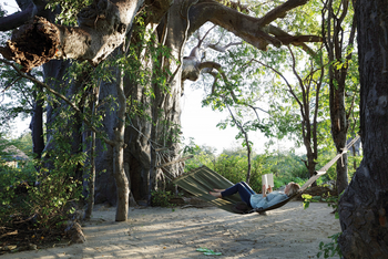 Planet Baobab: Hängematte