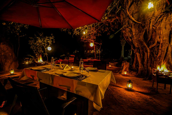 Syna Tiger Resort: Dinner unter alten Bäumen