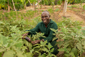 Tafika Camp: Im Gemüsegarten
