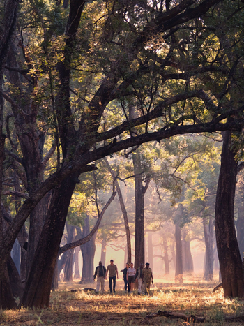 Time + Tide South Luangwa Time + Tide South Luangwa: Walking Safari