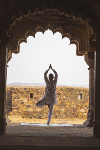 Aman-i-Khas: Yoga am Ranthambore Fort