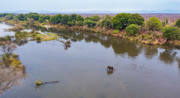 Amanzi Camp: Flusslandschaft mit Elefant