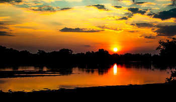 Bushcamp Company: Sonnenuntergang