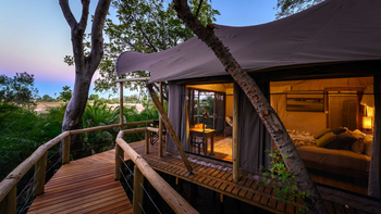 Jacana Camp: Zugang zum Gästezelt