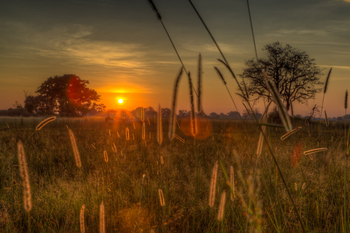 Kanana Camp: Sonnenuntergang