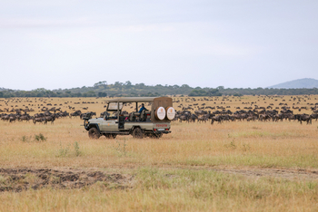Kirawira Serena Camp: Game Drive