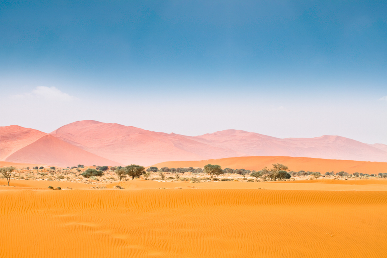 Namib Outpost Namib Outpost: Dünenzug