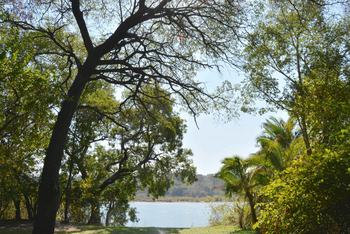 Ngepi Camp: Blick auf den Okavango