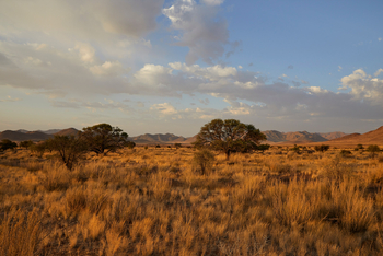 Nooishof: Landschaft