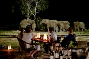 Ongava Tented Camp: Elefanten am Wasserloch
