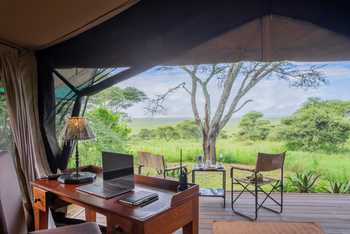 Serengeti Woodlands Camp: Executive Suite
