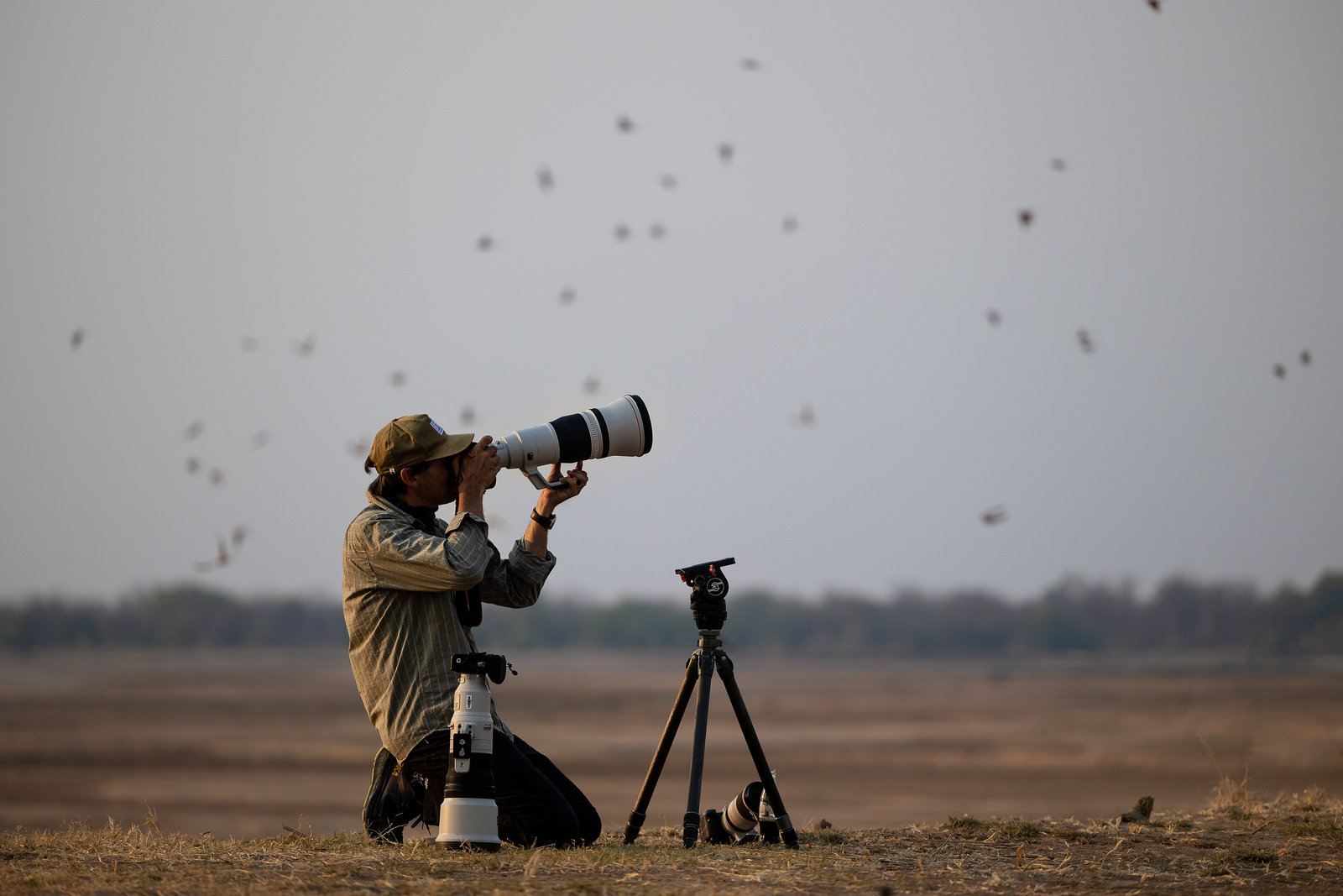 Sungani Lodge Sungani Lodge: Fotograf bei dem Karminspinten