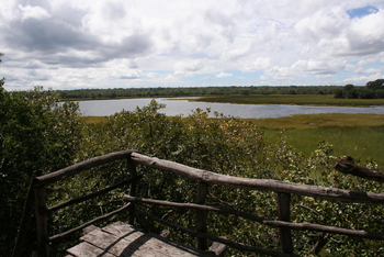 Wasa Lodge: Aussichtsplattform