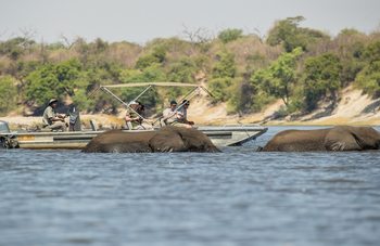 Chobe Savanna Lodge: Fluss-Safari