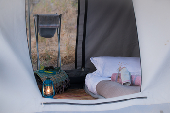 Beagle Expeditions: Laterne im Zelt