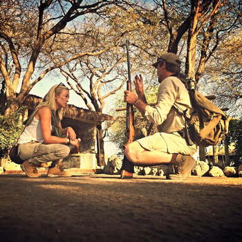 Little Chem Chem: Privater Guide