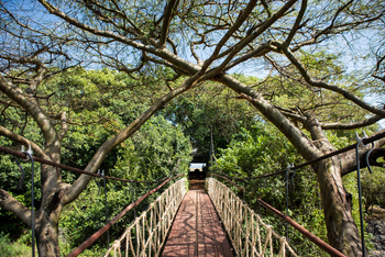 Mara Plains Camp: Brücke zum Camp