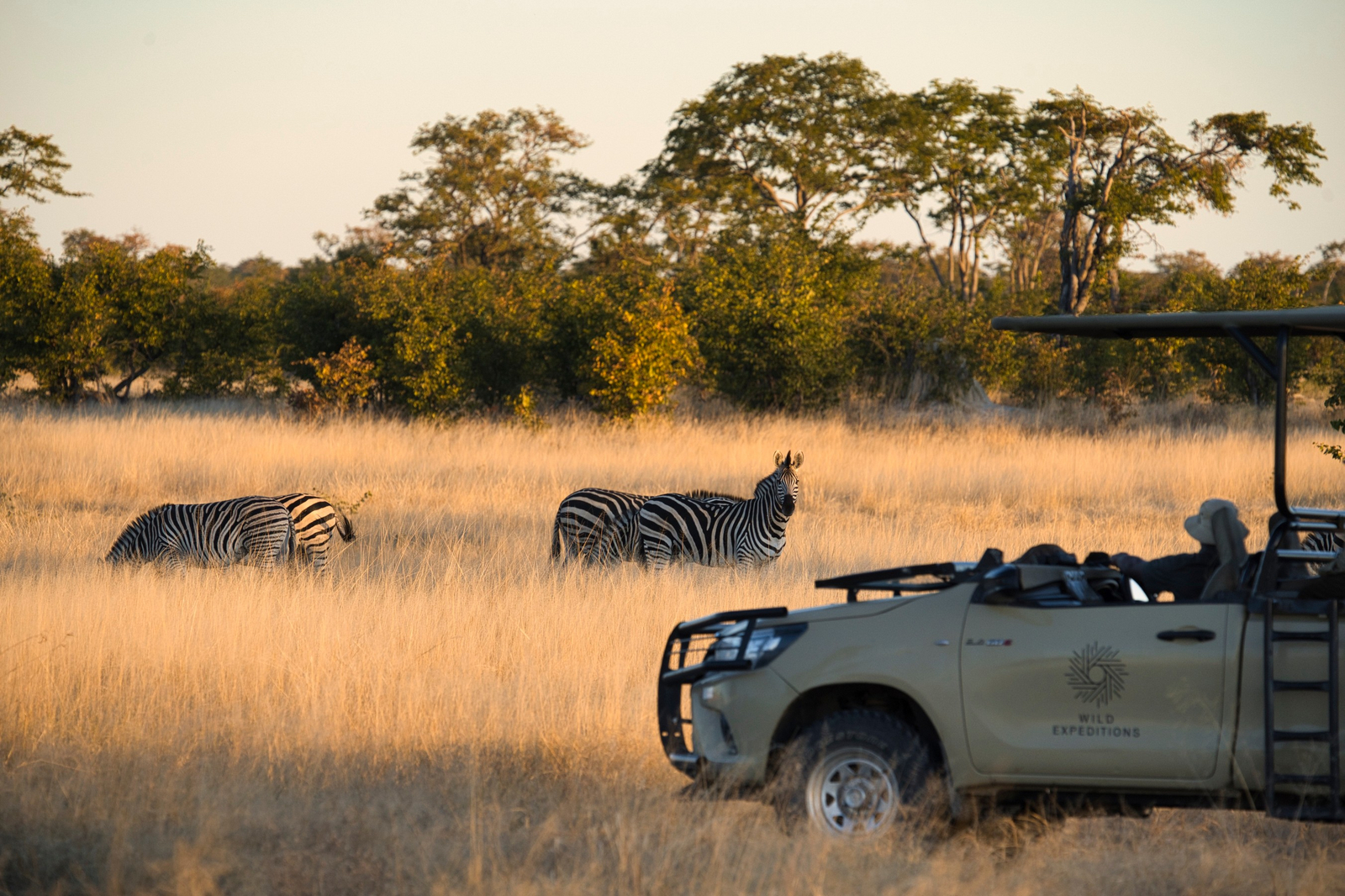 Muddy Teak Camp Muddy Teak Camp: Wild Expeditions Safari