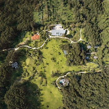 One and Only Gorilla's Nest: Gesamtansicht