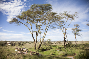 Segera Retreat: Bush Lunch