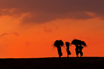 Sujan Jawai: Rabari-Frauen