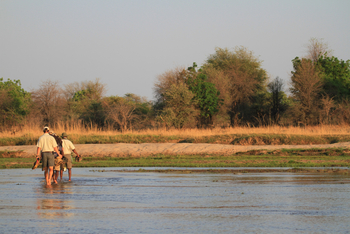 Takwela Camp Takwela Camp: Am Mwaleshi River