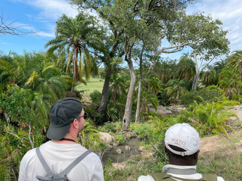 Wayo Little Green Camp: Walking Safari