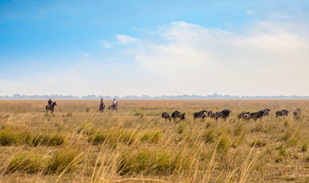 Chundukwa River Lodge: Simalaha Horse Safaris
