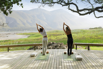 Coot Club: Aktivitäten