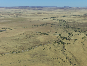 Desert Rhino Camp Desert Rhino Camp: Luftbild vom Camp