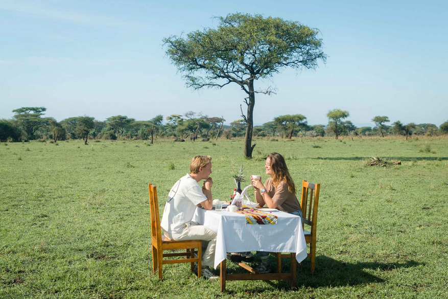 Ikoma Tented Camp