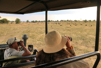 Legendary Songa Migrational Camp: Tierbeobachtung