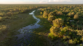 MmaTsebe Tented Camp: Mbudi River
