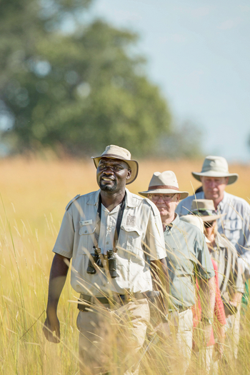 Moanachira Flood Plains: Geführte Wandersafari