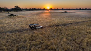 North Island Okavango Camp North Island Okavango Camp: Später Game Drive