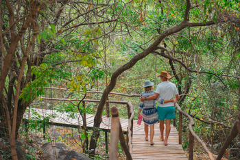 Pumulani Lodge: Steg