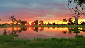 The Hide: Sonnenuntergang