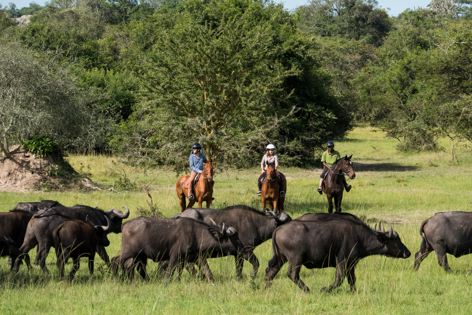 Mihingo Lodge Mihingo Lodge: Reiten
