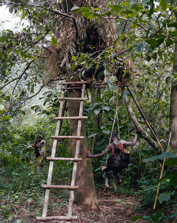 Volcanoes Mount Gahinga Lodge: Baumhaus