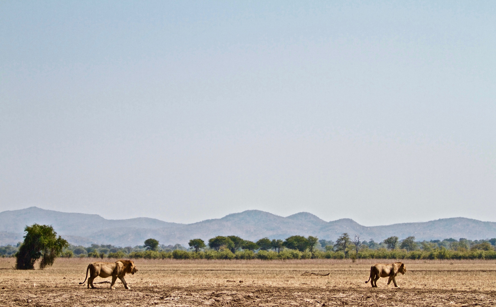 Classic Zambia Safaris Classic Zambia Safaris: Landschaft