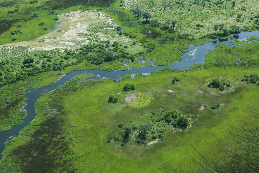 Duba Plains Camp