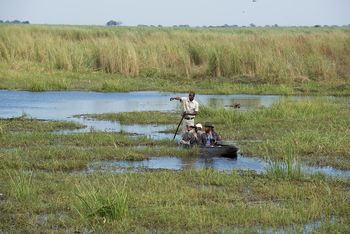 Linyanti Ebony Linyanti Ebony: Mokorotour